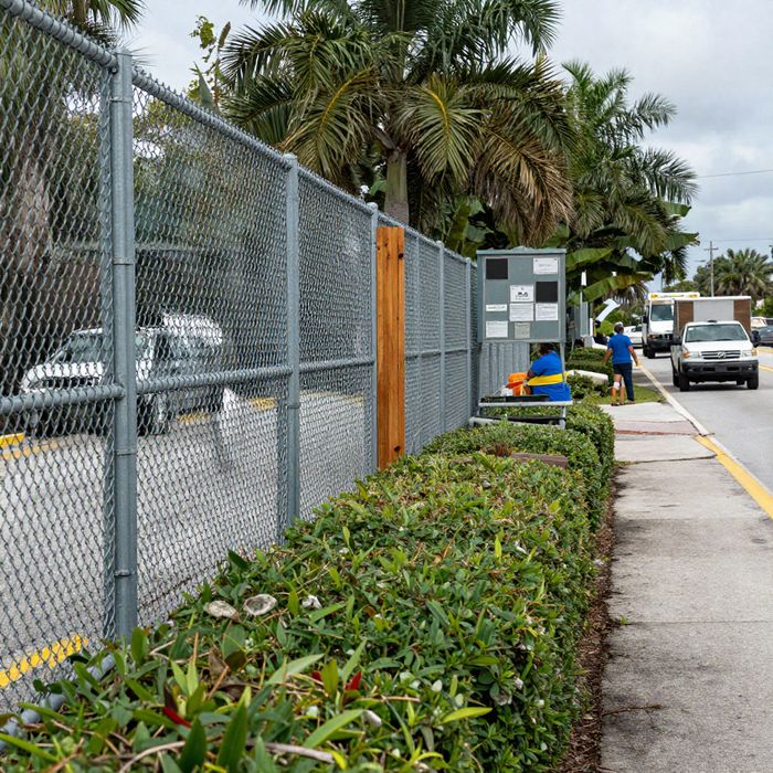 A chain link fence along a multi-lane road with a hedge planted in front of it.